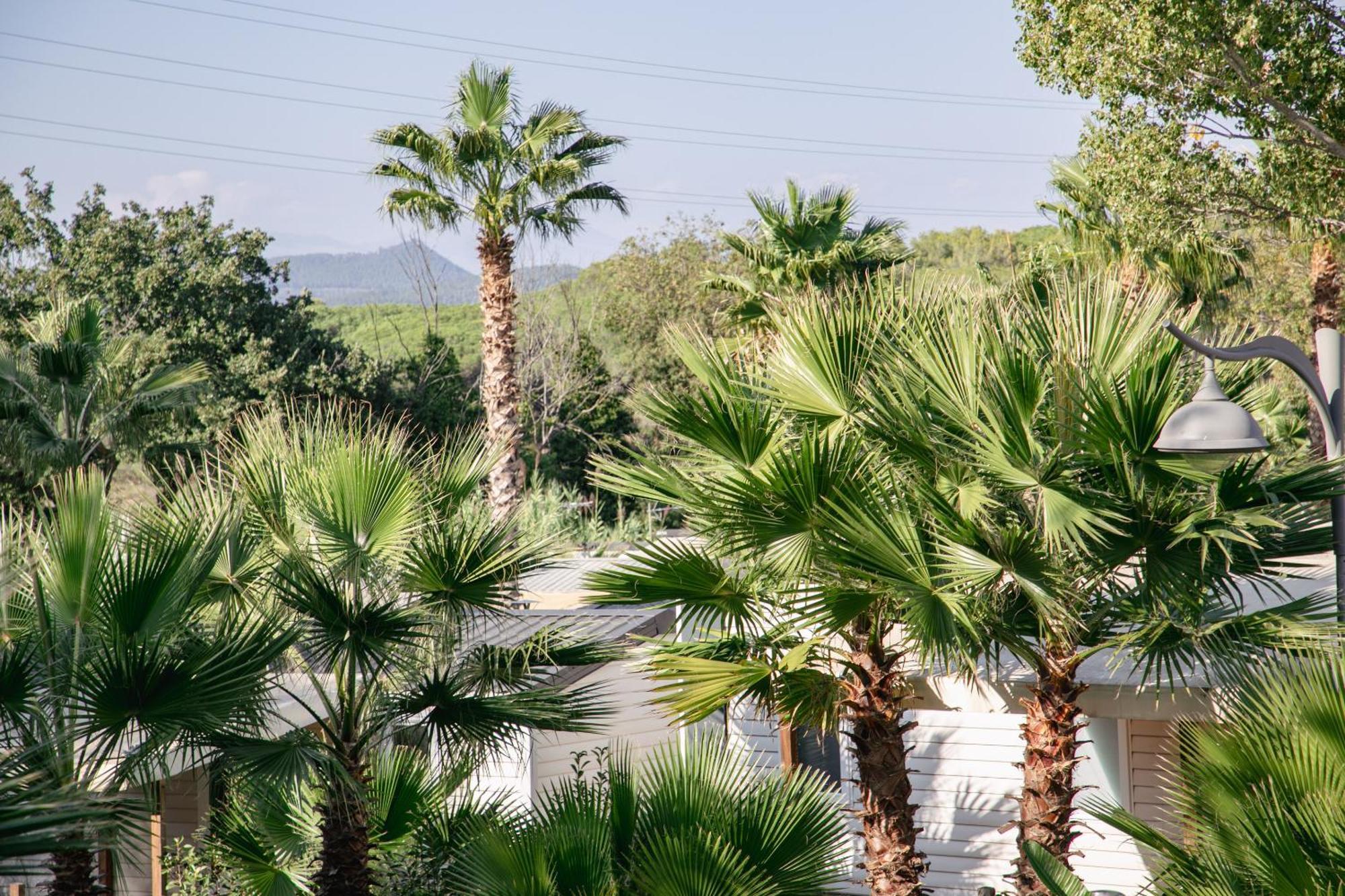 Camping Site De Gorge Vent Fréjus Екстериор снимка